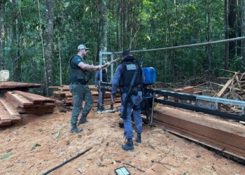 Sema-MT aplica R$ 36 milhões em multas por desmate ilegal no Parque Estadual do Cristalino