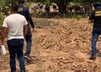 Delegado pede perícia no celular de bolsonarista que matou petista com 15 facadas