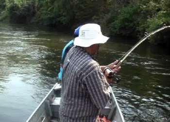 Deputado repudia ação do Cepesca para impedir o transporte de pescado para amadores