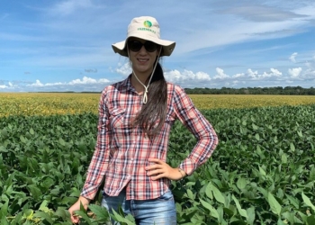 Área de soja convencional cresce quase 35% em Mato Grosso