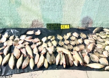 Operação prende homem com 34 quilos de peixes de espécies com pesca proibida