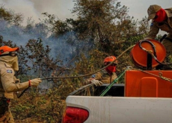 Incêndio de grandes proporções atinge as margens da MT-351 e se alastra para mata