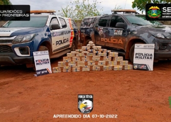 Ação conjunta apreende mais de 90 kg de entorpecentes e prende dois suspeitos