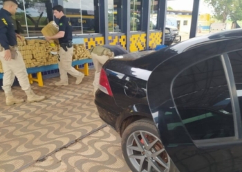 Adolescente é preso com carga de mais de 700 kg de maconha em MT