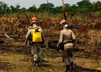 Governo de Mato Grosso lança Operação Abafa Amazônia 2022 nesta terça-feira