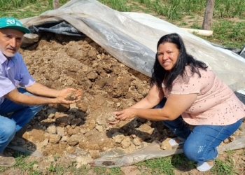 Agricultores de Cuiabá utilizam lodo de esgoto transformado em adubo para o cultivo de pastagens