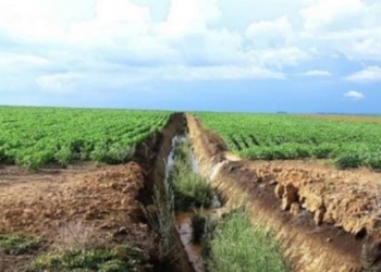 Sobe para 25 número de réus em ações penais da Operação Polygonum
