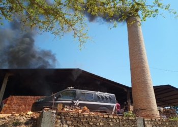Incineração de 370 kg de droga