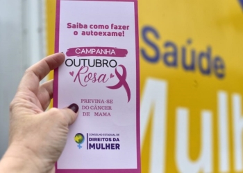 Conselho Estadual de Direitos da Mulher promove nesta quinta-feira ações de cidadania no Bairro CPA 3