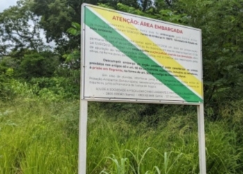 Liminar determina demolição de construções em Planície Pantaneira