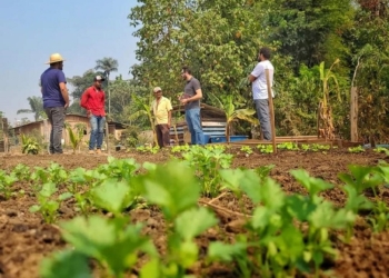 Empaer e parceiros consolidam projeto para produção de alimentos orgânicos