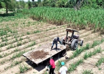 AMM e ALMT vão lançar o Sistema Único de Sanidade da Agricultura Familiar e de Pequeno Porte