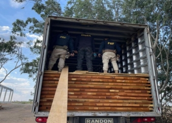 Operação conjunta mira em crimes ambientais e apreende 285 m³ de madeira