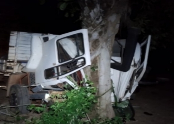 Idoso morre após perder o controle de caminhão e bater contra árvore na Estrada do Manso