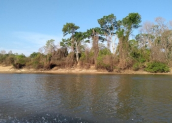 Menino de dois anos desaparece após canoa virar em lago no interior de MT