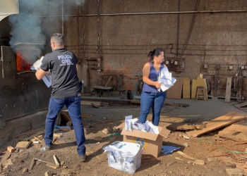 Polícia Civil incinera cerca de 12 quilos de drogas em Aripuanã