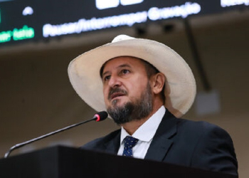 Cattani sugere que governador vá à Al para explicar proposta de confisco para quem desmatar ilegalmente