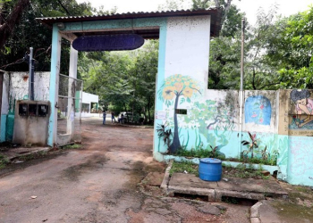 Horto Florestal Tote Garcia mantém visitação das 7h às 17h e distribuição de mudas