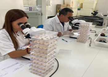 Laboratório do Indea auxilia no combate a doenças que impactam na produtividade na lavoura