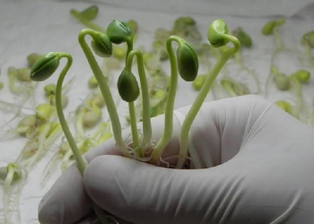 Projeto Laboratórios Multiusuários é contemplado com R$ 1,6 milhão para pesquisas