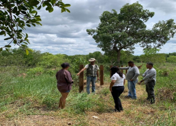 Sema promove recuperação de nascente e plantio de espécies nativas na comunidade Baía do Campo