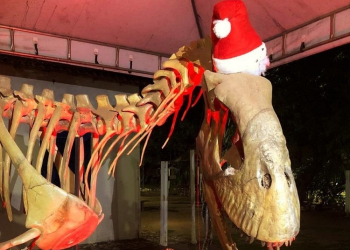 Museu de História Natural terá entrada gratuita e horário estendido neste fim de semana