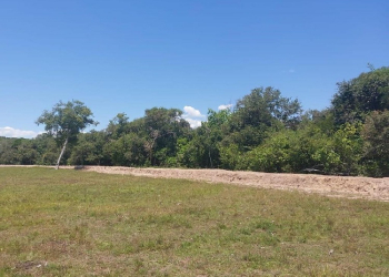 Sema-MT notifica proprietário por construção de dique clandestino no Pantanal