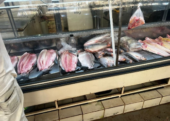 Sema-MT fiscaliza estoques de peixes de estabelecimentos comerciais
