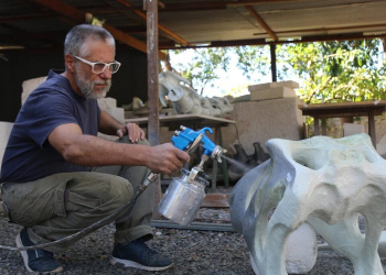 Maior réplica de esqueleto de dinossauro do País integrará acervo do Museu de História Natural