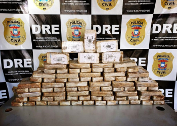 Delegacia de Entorpecentes incinerou mais de 7 toneladas de drogas este ano