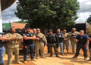 Operação cumpre mandados para apurar extração ilegal de madeira em parque estadual