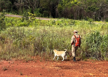 Homem de 50 anos é localizado neste domingo após ficar dois dias perdidos em mata