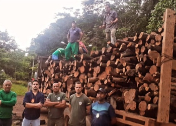 Polícia Civil e Sema doam para instituição de caridade madeira apreendida em Confresa