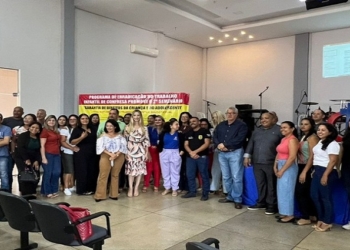 MPMT participa de seminário sobre direitos da criança e do adolescente