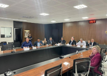 Governo de Mato Grosso aprova medidas de incentivo à suinocultura