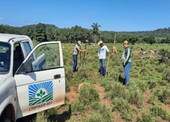 “Diagnóstico do solo pela amostragem é primordial para bons resultados do cultivo”, explica agrônomo da Empaer-MT