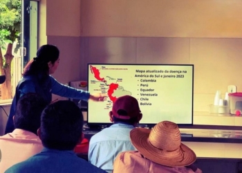 Indea reforça vigilância na fronteira após registros de gripe aviária na Bolívia