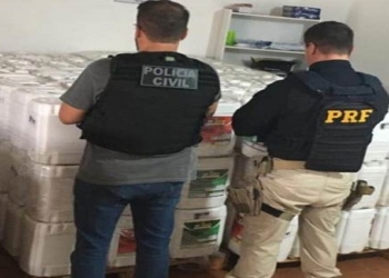 Quatro toneladas de defensivos irregulares são apreendidas no sul do estado