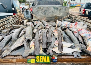 Sema-MT e Polícia Militar flagram transporte ilegal de 255 kg de pescado