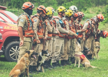 Bombeiros fazem simulado de atendimento a cão ferido em ação de busca e resgate