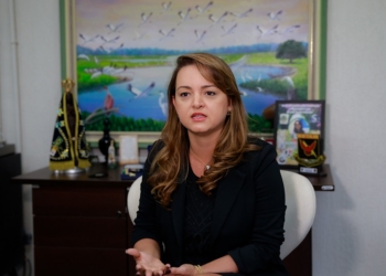 “Estamos com força total em campo para combater o desmatamento ilegal”, afirma secretária de Meio Ambiente
