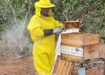 Empaer e Seaf fomentam produção de mel na agricultura familiar em Chapada dos Guimarães