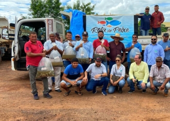Empaer e Consórcio do Pantanal entregam 25 mil alevinos para agricultores da Região Oeste do Estado