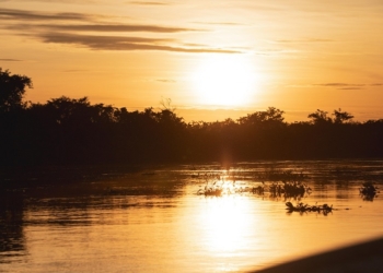 Sesc Pantanal leva cores, sabores, cultura e educação ambiental para a FIT Pantanal