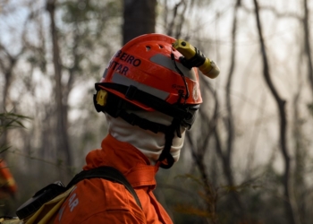 Corpo de Bombeiros já aplicou R$ 77,9 milhões em multas por uso irregular do fogo em 2023