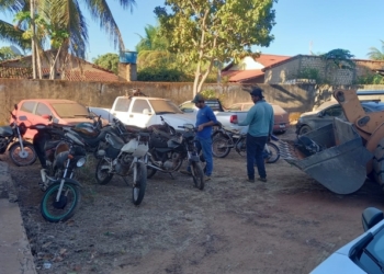 Polícia Civil realiza 2ª etapa de limpeza do pátio da Delegacia de Novo São Joaquim