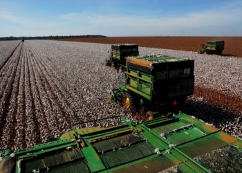 MT concentra 26 dos 50 municípios do País com os maiores valores de produção agrícola