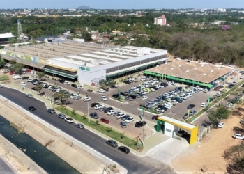 Mercado do Porto terá 5ª Edição da Feira de Agricultura Urbana neste fim de semana