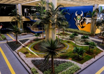 Governo lança protocolo de prevenção ao risco de suicídio para servidores estaduais