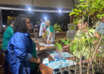 Estratégia para recuperar 5 mil hectares do Cerrado em MT é apresentada em exposição agropecuária